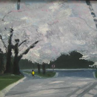 Runner Under Cherry Blossoms